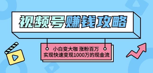 玩转微信视频号赚钱：小白变大咖涨粉百万实现快速变现1000万的现金流