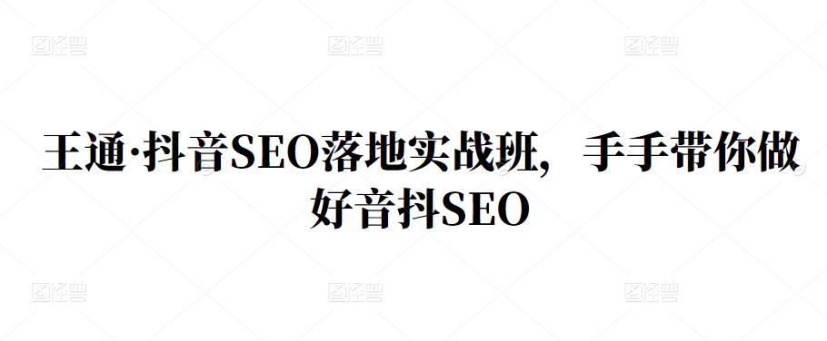 王通·抖音SEO落地实战班，手?手带你做好音抖??SEO